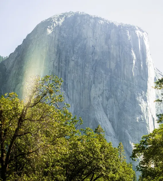 california 03