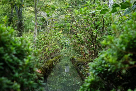 japan 001