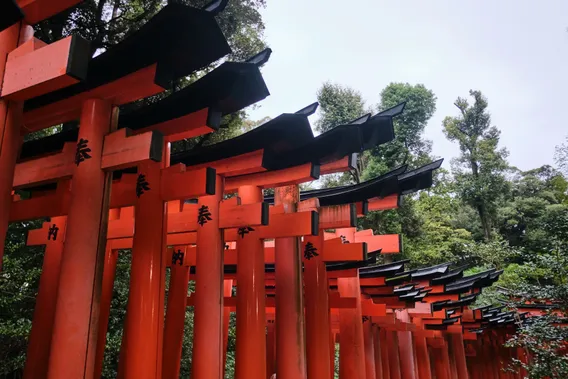 japan 009