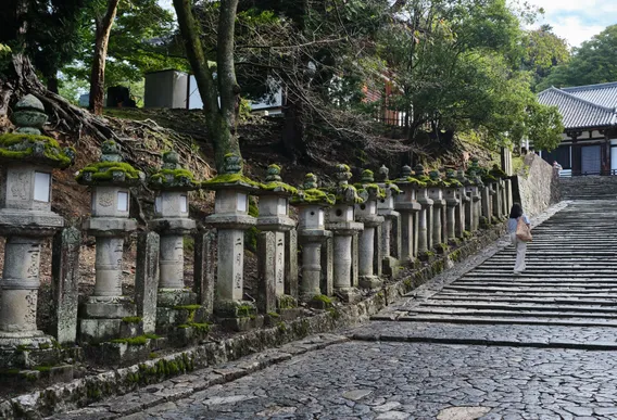 japan 022