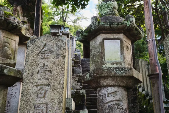 japan 024
