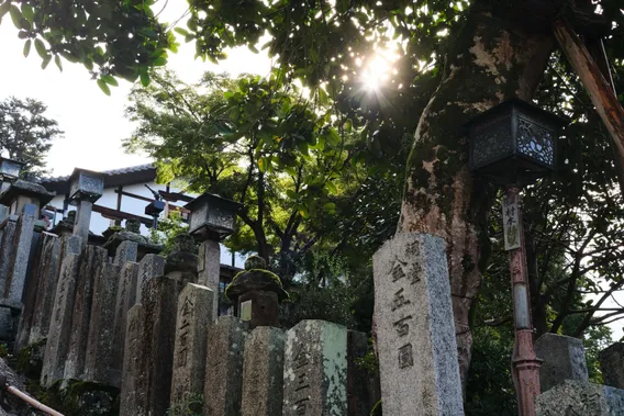 japan 025