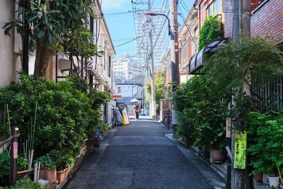 japan 042