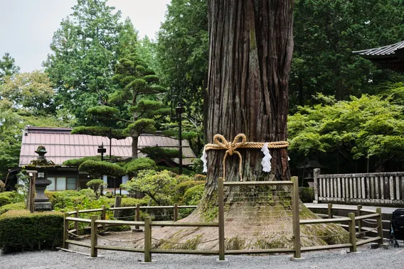 japan 052