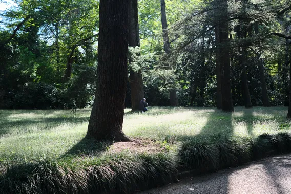 japan 063