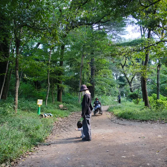 japan 065