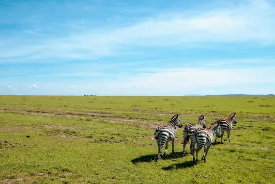 kenya 03