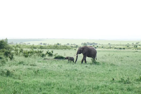 kenya 06