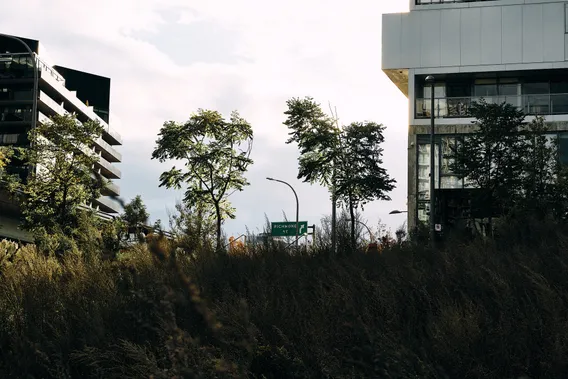 toronto 06